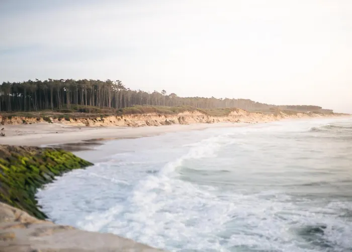 Oporto Surflodge * Cortegaca (Aveiro)